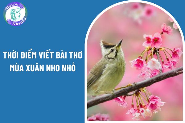 Bài thơ mùa xuân nho nhỏ của tác giả Thanh Hải được viết vào thời điểm nào? Học sinh lớp 9 được phân loại đánh giá như thế nào?