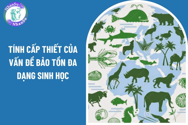 Chứng minh tính cấp thiết của vấn đề bảo tồn đa dạng sinh học ở Việt Nam? Yêu cầu về nội dung môn Sinh học cấp THCS ra sao?