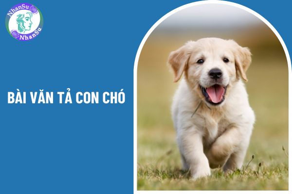 05 mẫu bài văn tả con chó lớp 4 ngắn nhất? Nội dung kiến thức của môn Tiếng Việt lớp 4 ra sao?