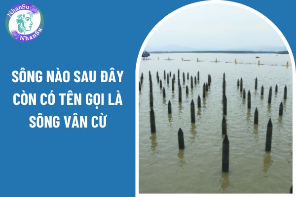 Sông nào sau đây còn có tên gọi là sông Vân Cừ? Quan điểm xây dựng chương trình môn Lịch sử và Địa lí cấp tiểu học là gì?