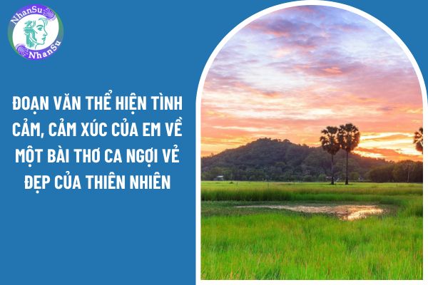 Tổng hợp mẫu viết đoạn văn thể hiện tình cảm, cảm xúc của em về một bài thơ ca ngợi vẻ đẹp của thiên nhiên?