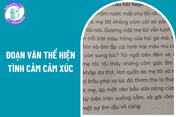 Tuyển tập 7 mẫu đoạn văn thể hiện tình cảm cảm xúc về một sự việc khiến em xúc động?