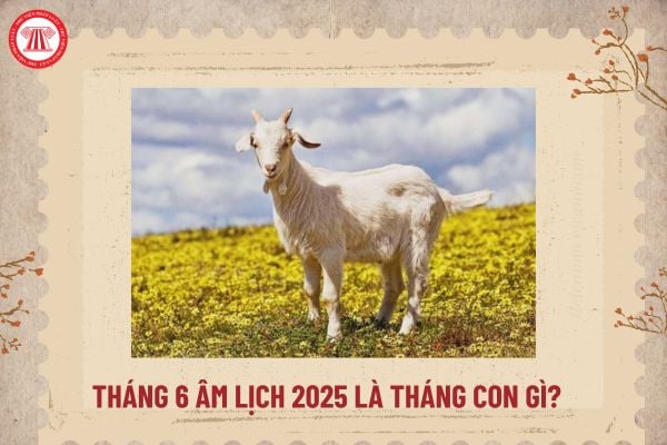 Tháng 6 là tháng con gì? Khám phá con giáp và vận mệnh người sinh tháng 6