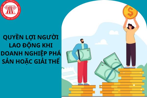 Lao Động Tiền Lương