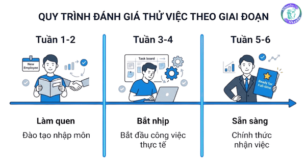 Timeline 3 giai đoạn đánh giá thử việc từ làm quen đến ra quyết định giữ người